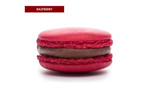 Raspberry Macaron